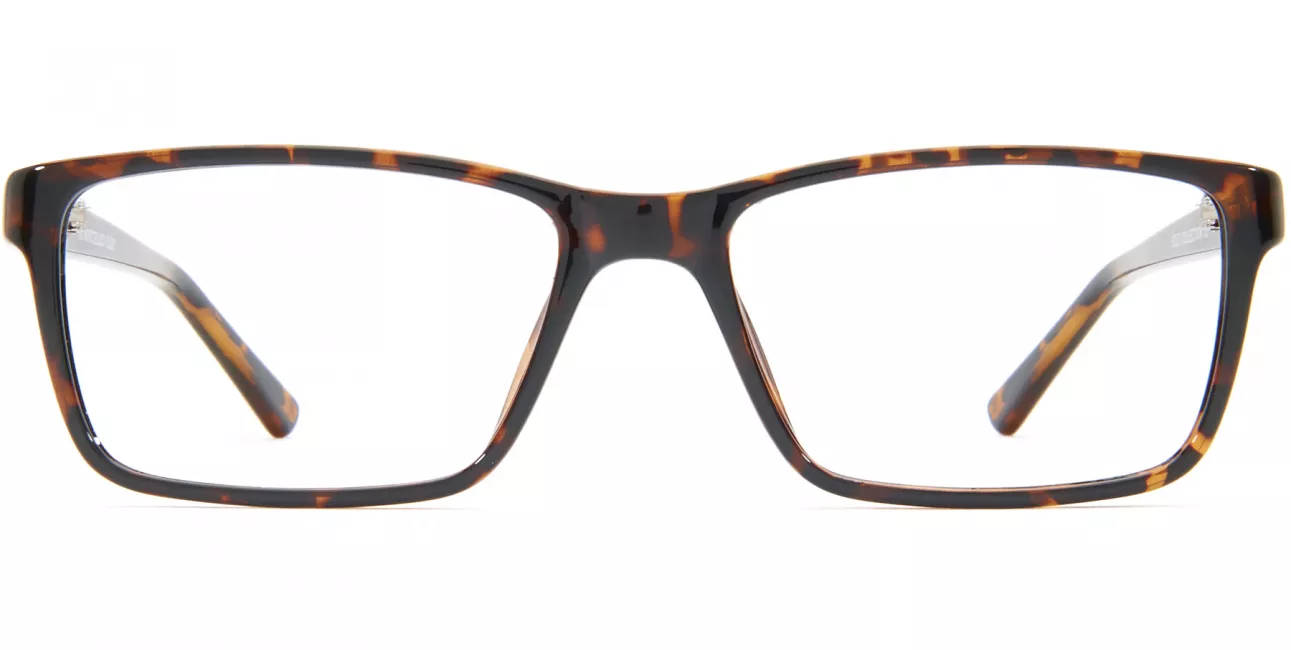 Theodore glasses