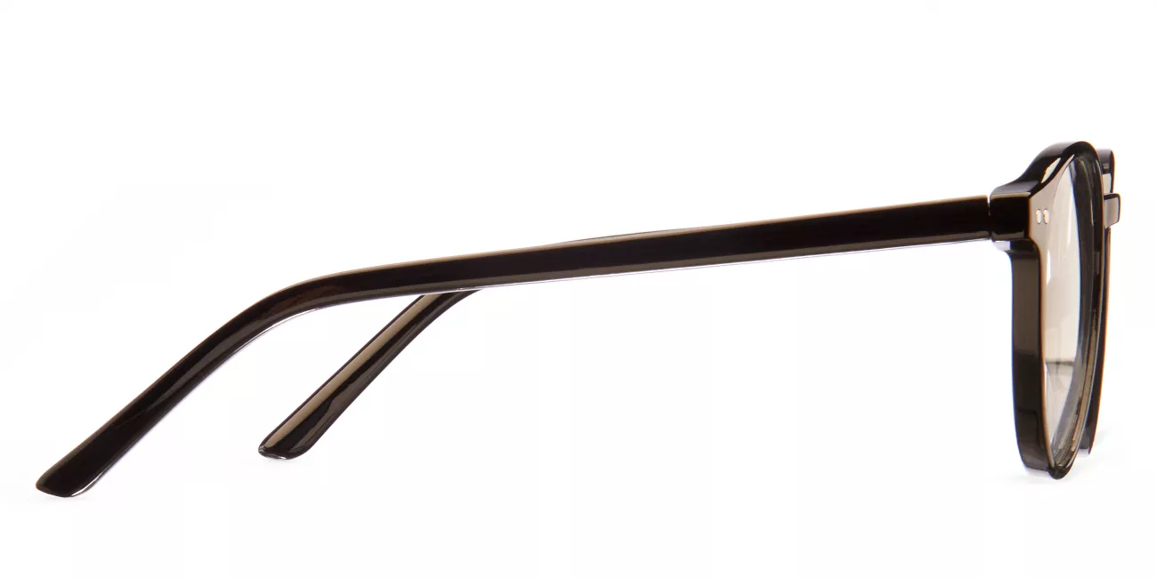 Warren glasses