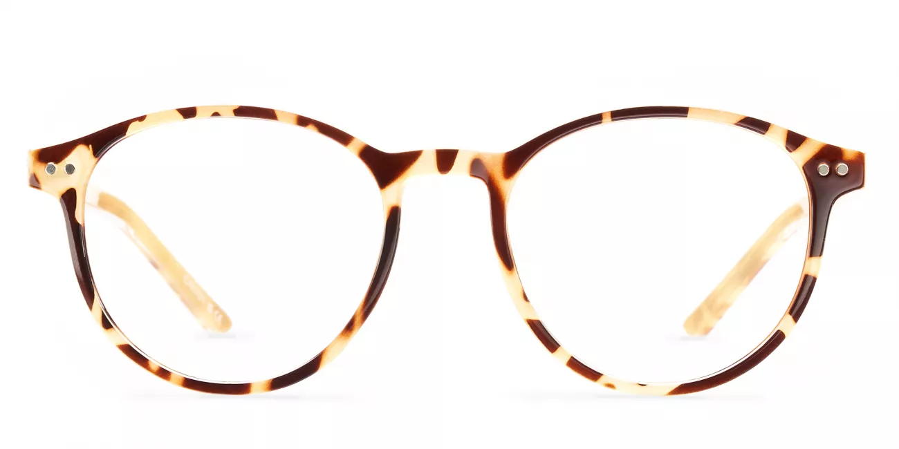Warren glasses