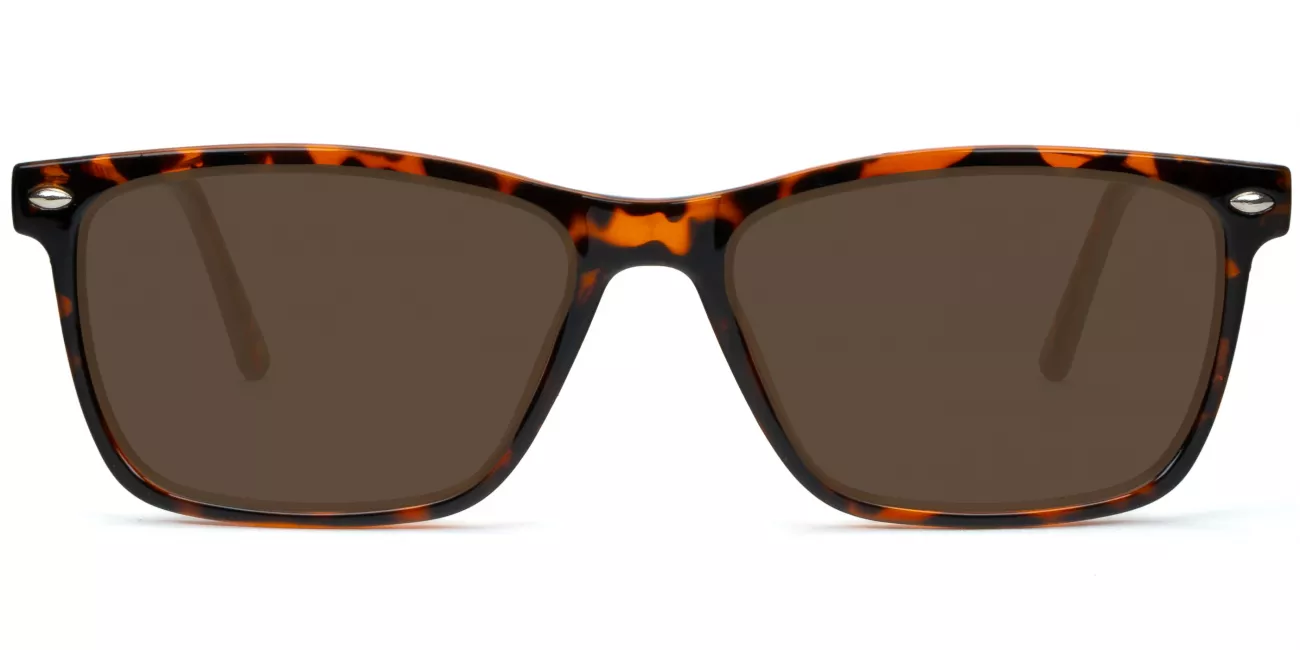 Wynn glasses
