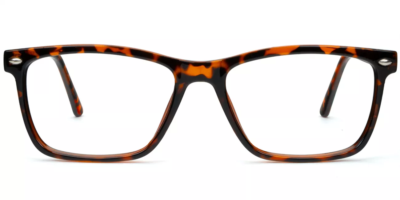 Wynn glasses in TORTOISE