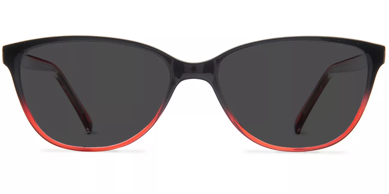 Zelda glasses