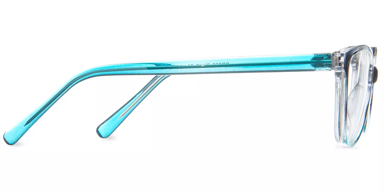 Zelda glasses