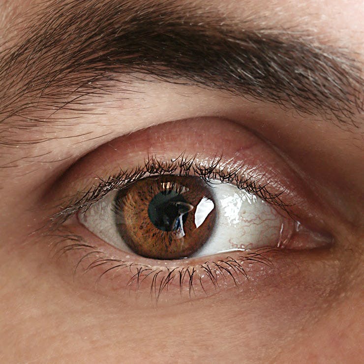 close up on brown eye