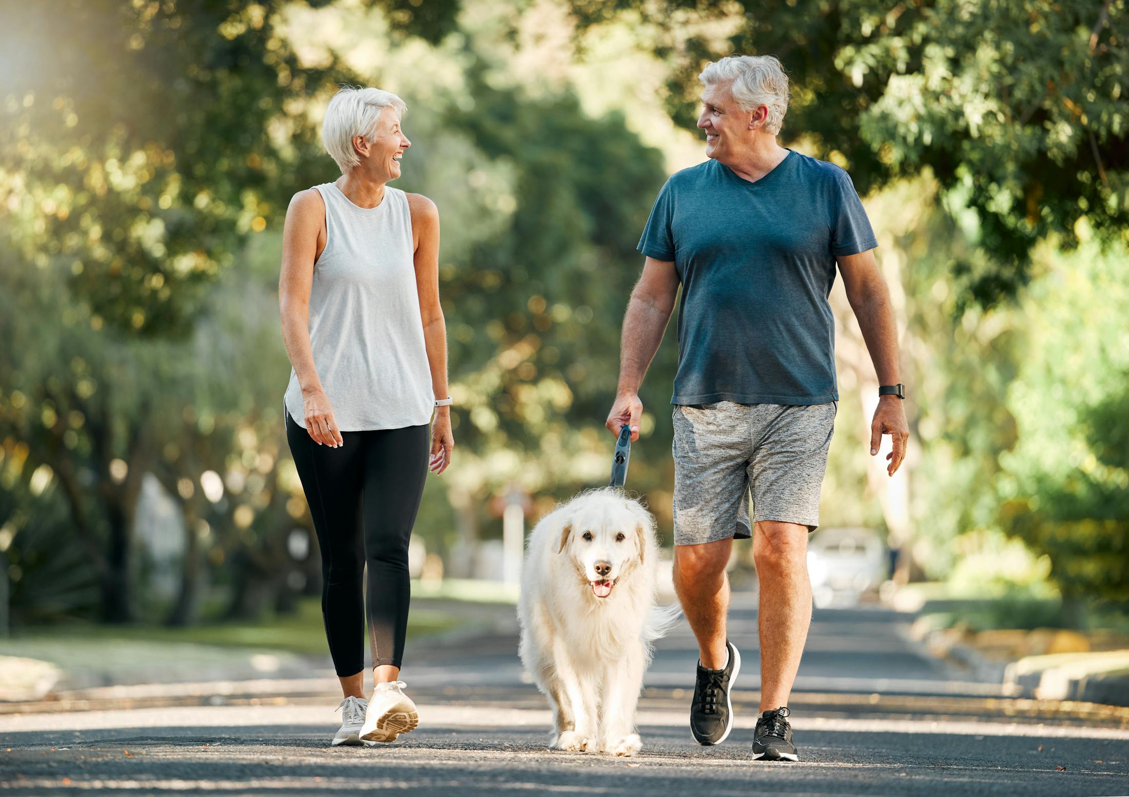 elderly couple walking their dog