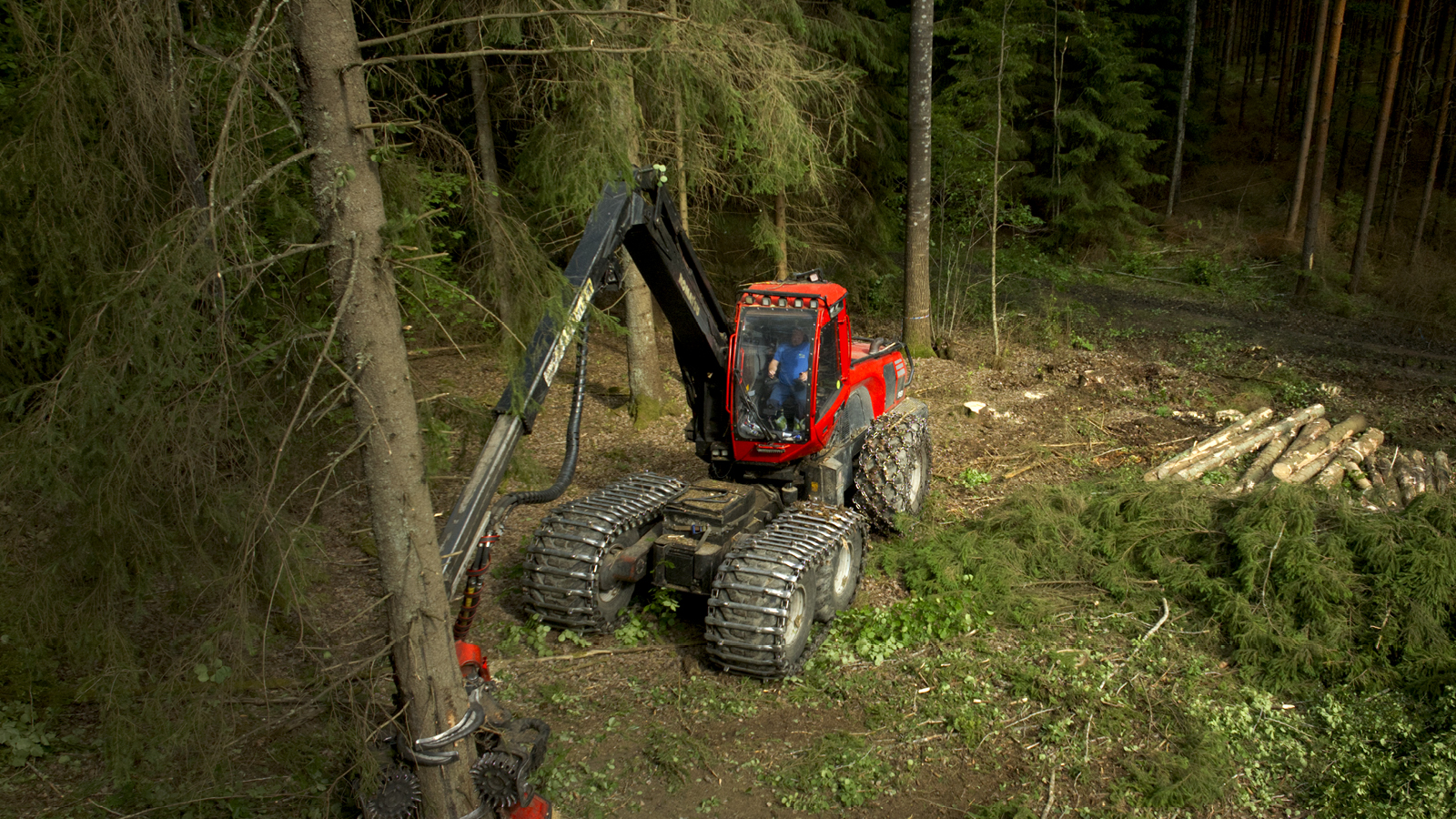 Clarity Bio Elitesyn