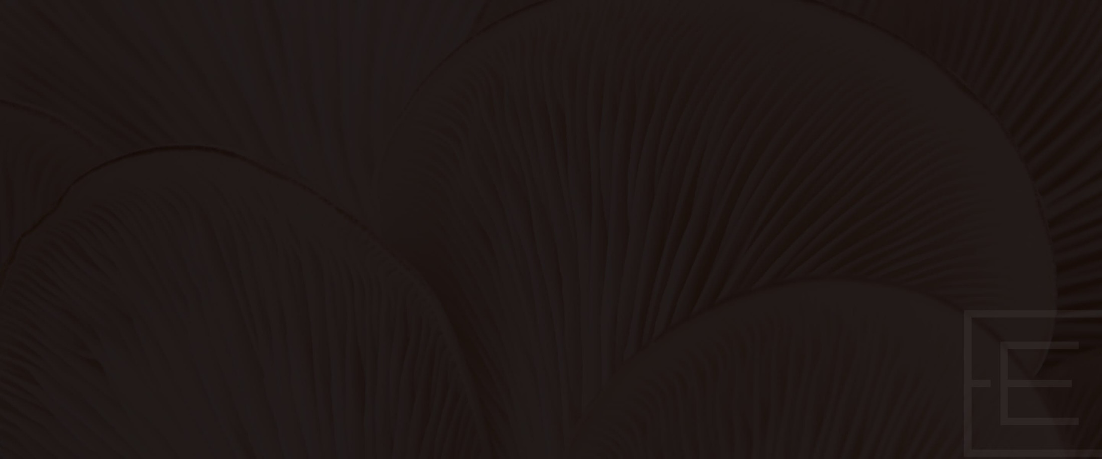 Banner media