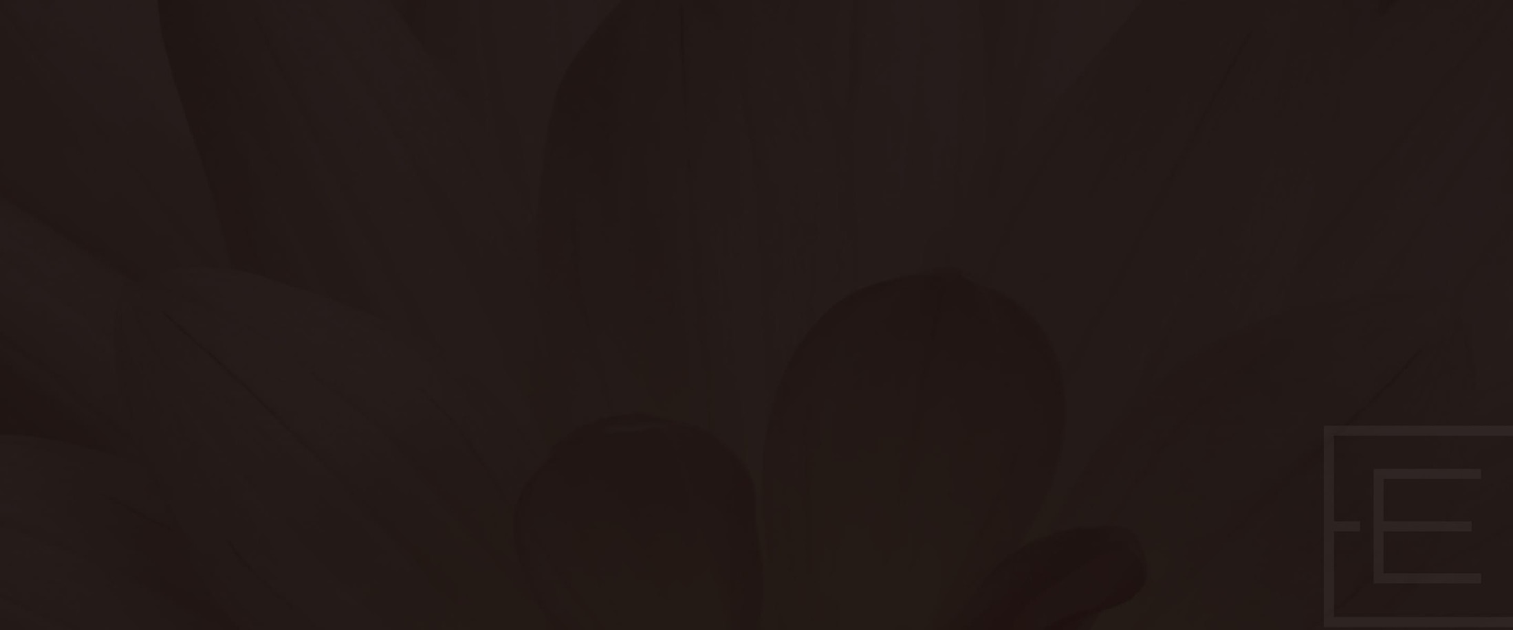 Banner media