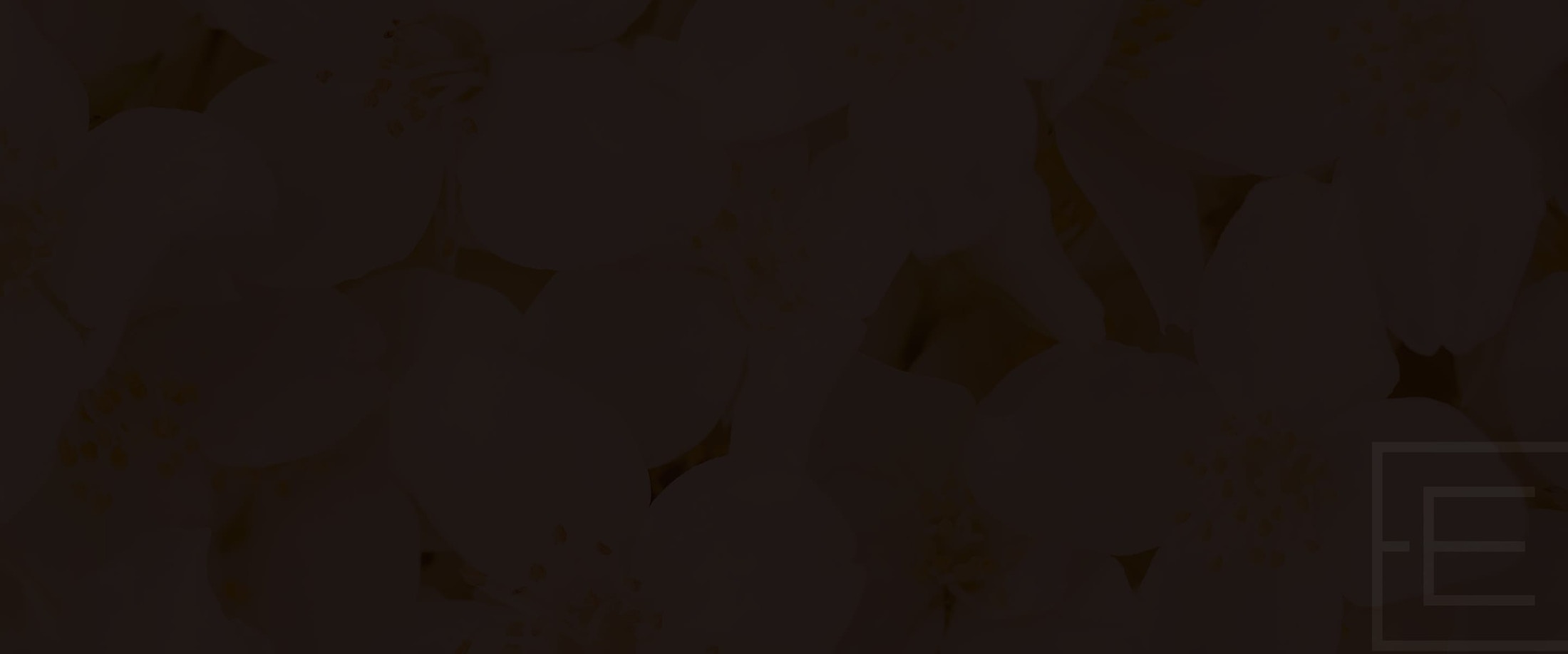 Banner media