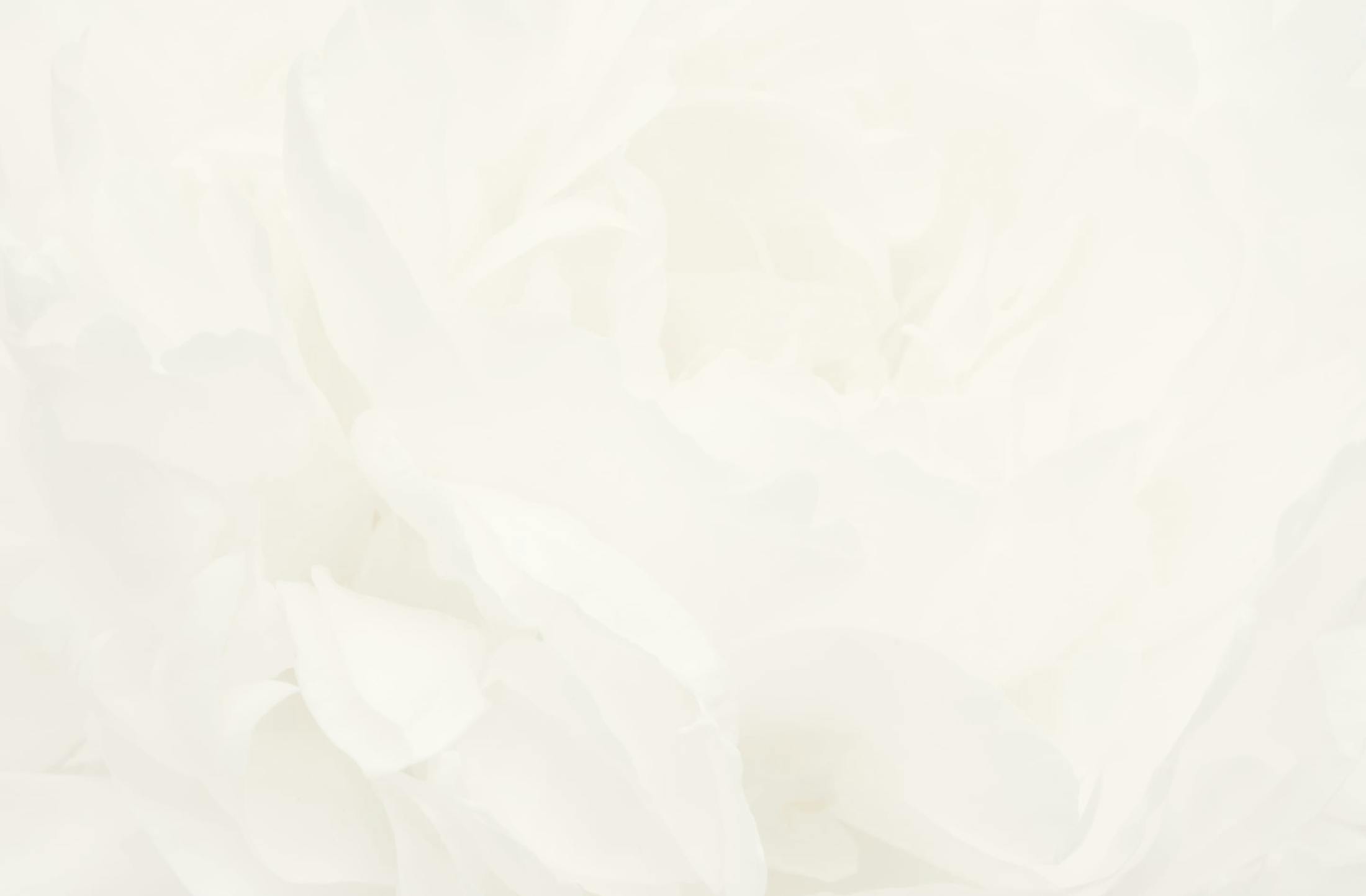Background media