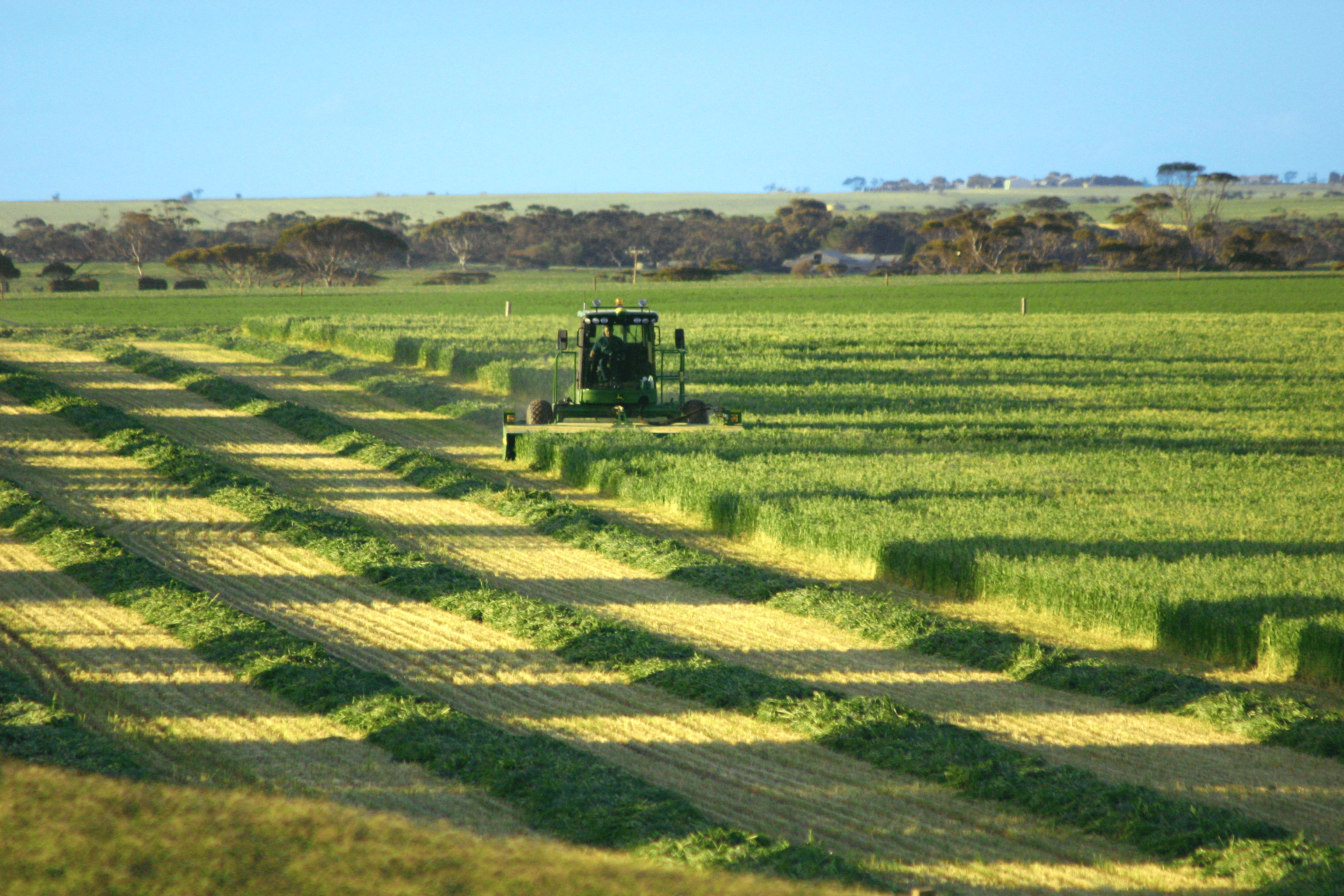 Rainfed Australian Oaten Hay Webinar