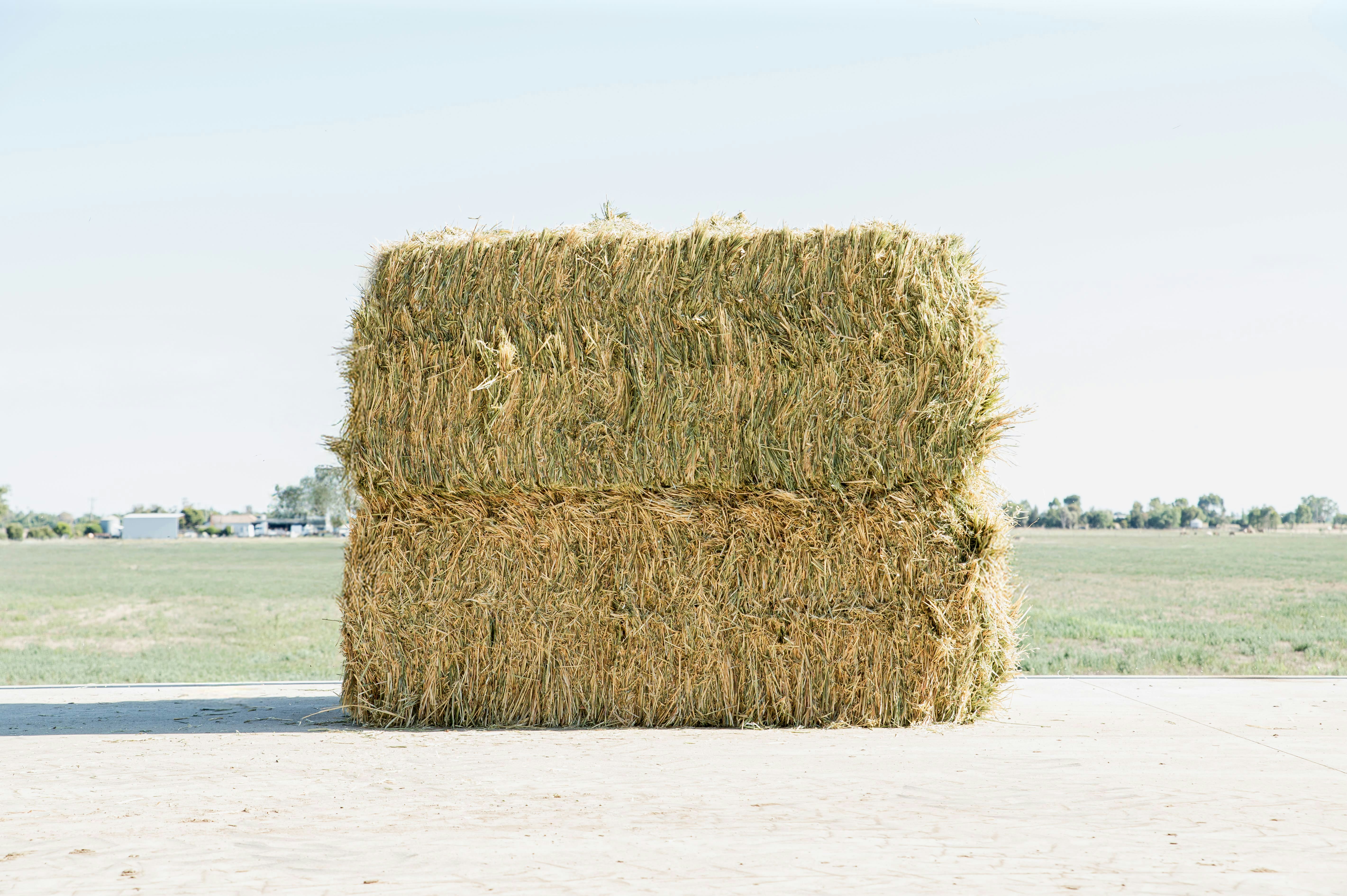 Rainfed Australian Oaten Hay Webinar