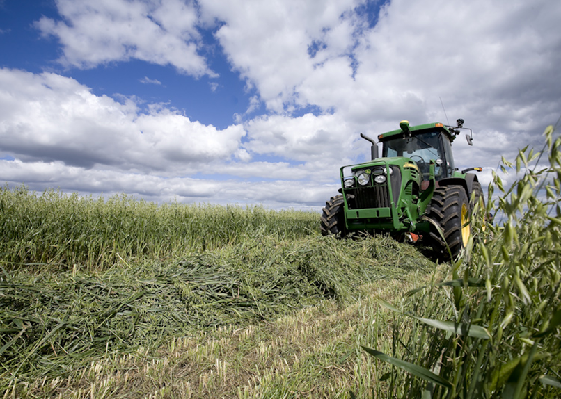 Rainfed Australian Oaten Hay Webinar