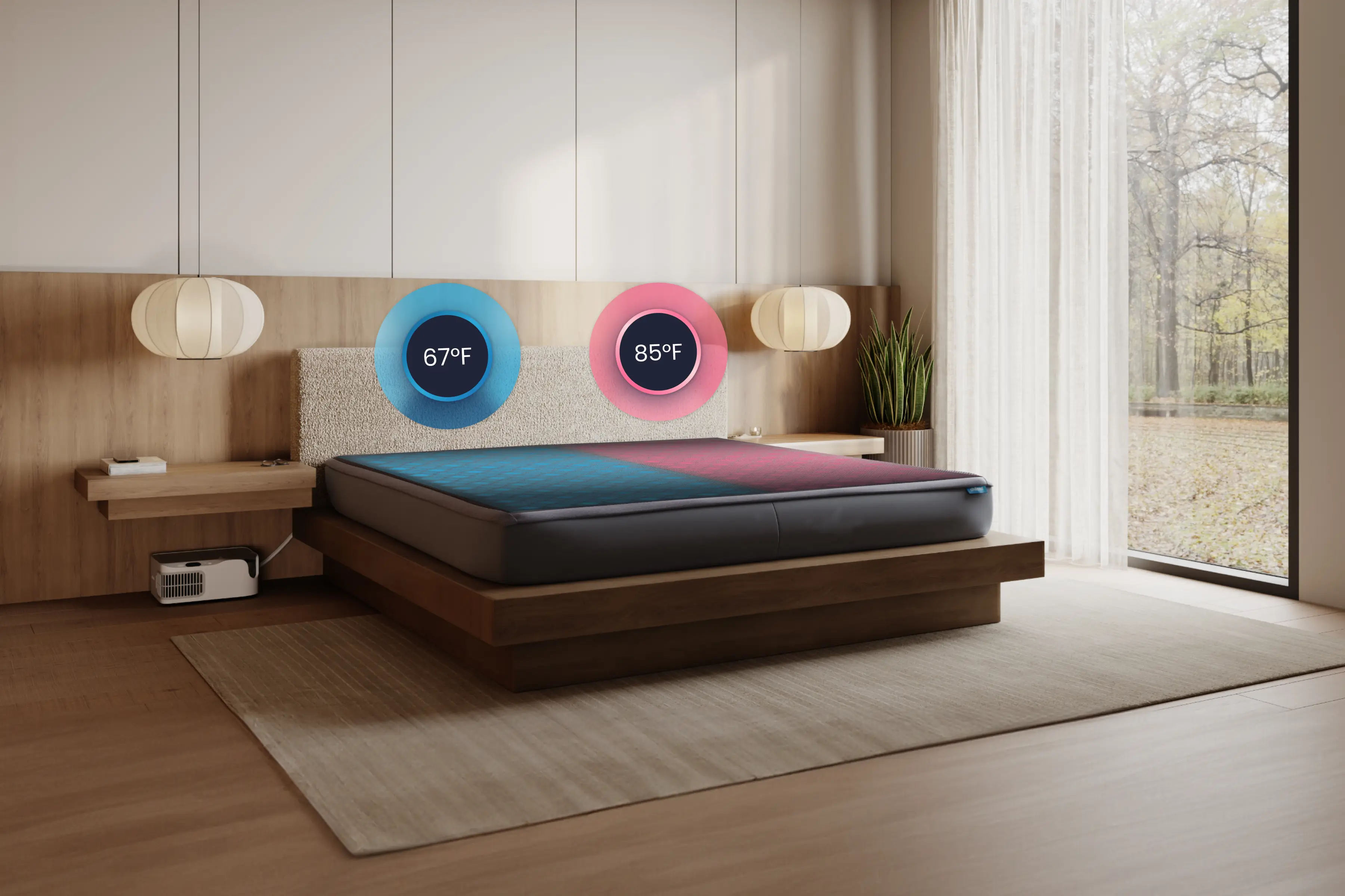 Sleep Foundation review