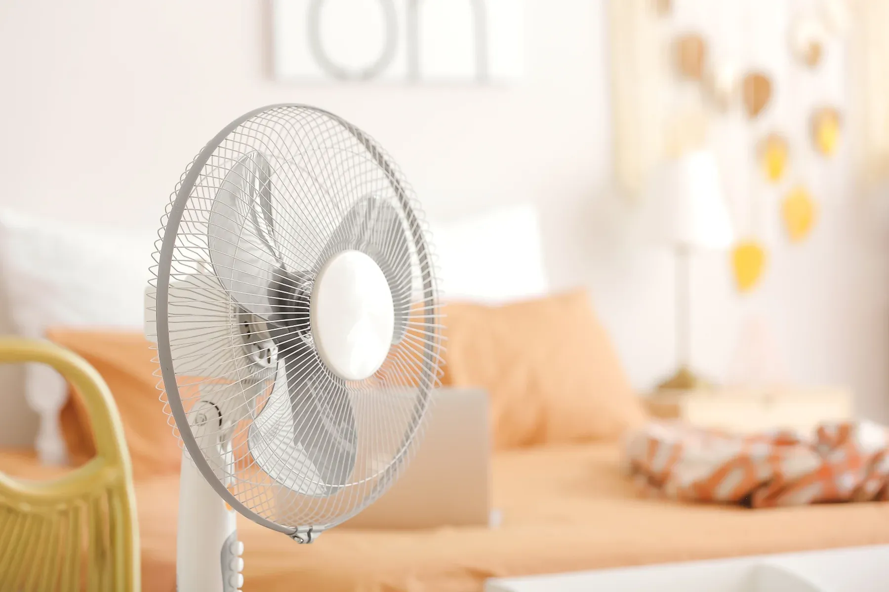 Fan in the bedrooom