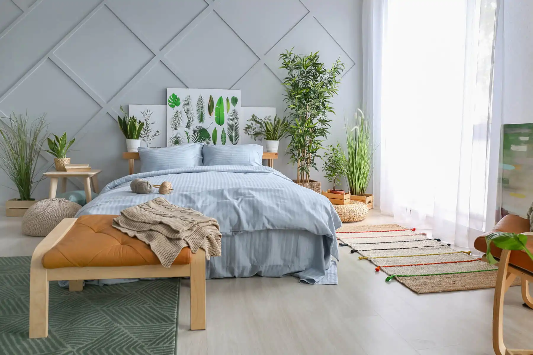 Benefit of snake plant in your bedroom