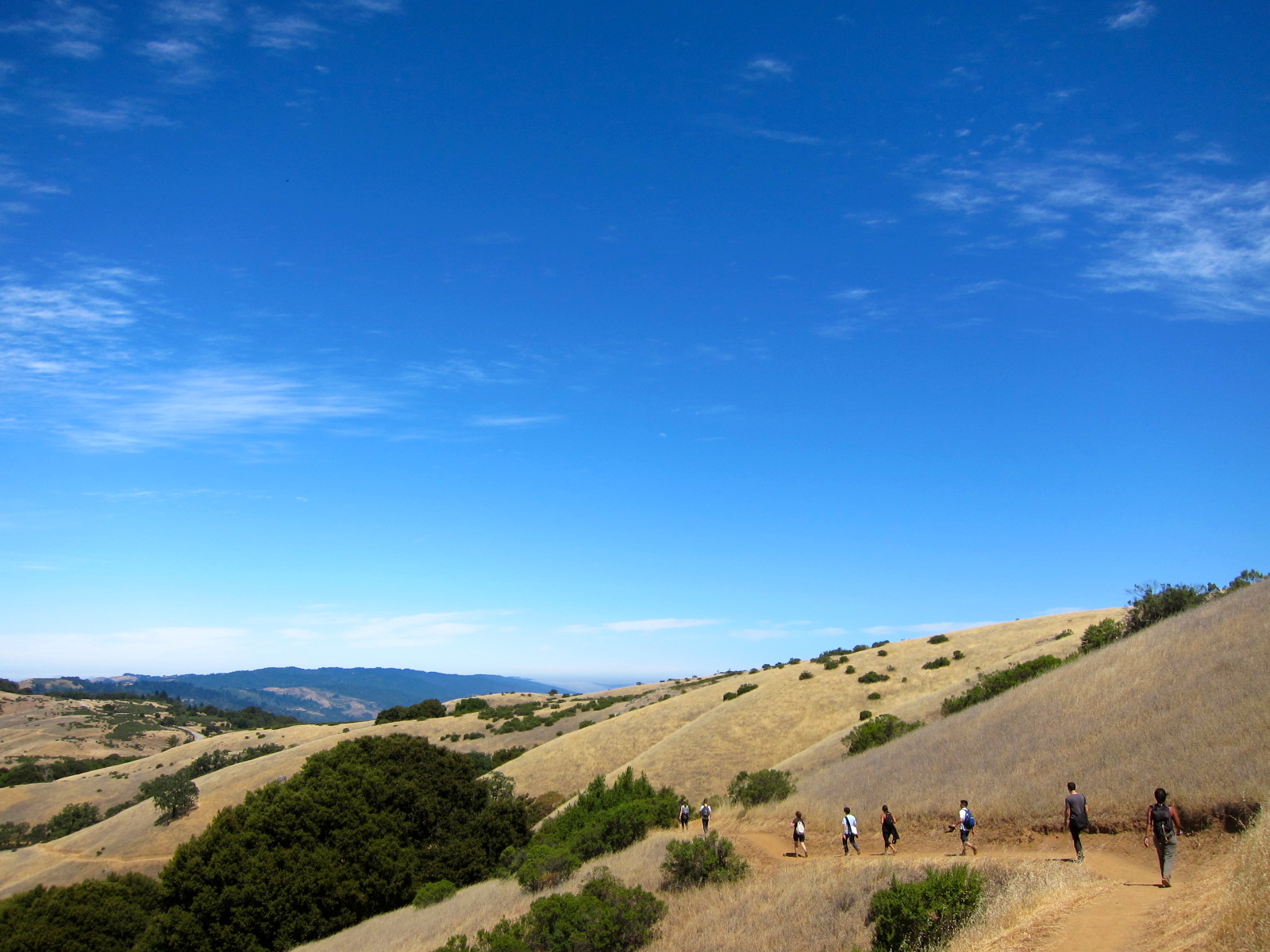 People hiking a trail along a grassy hillside