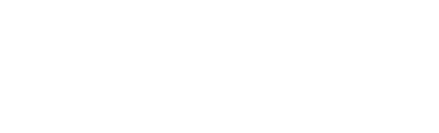 logotipo blanco deporvillage