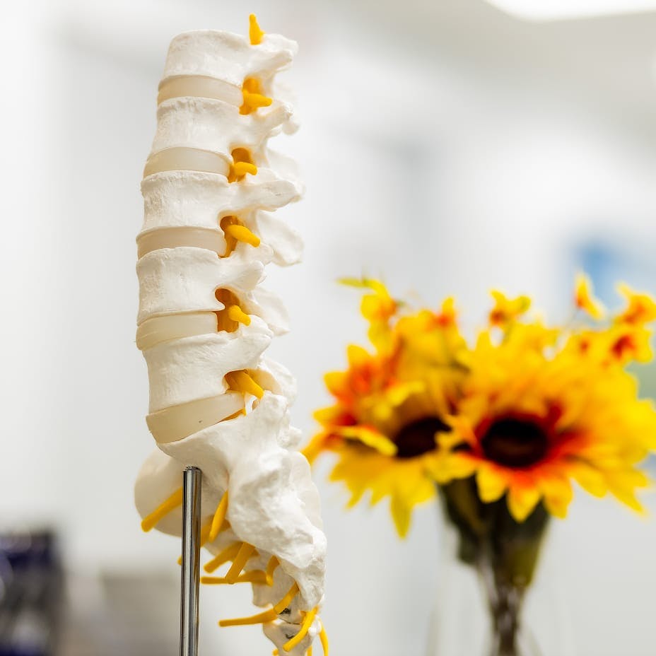 spine on a stand next to sunflowers