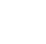 SSNY logo