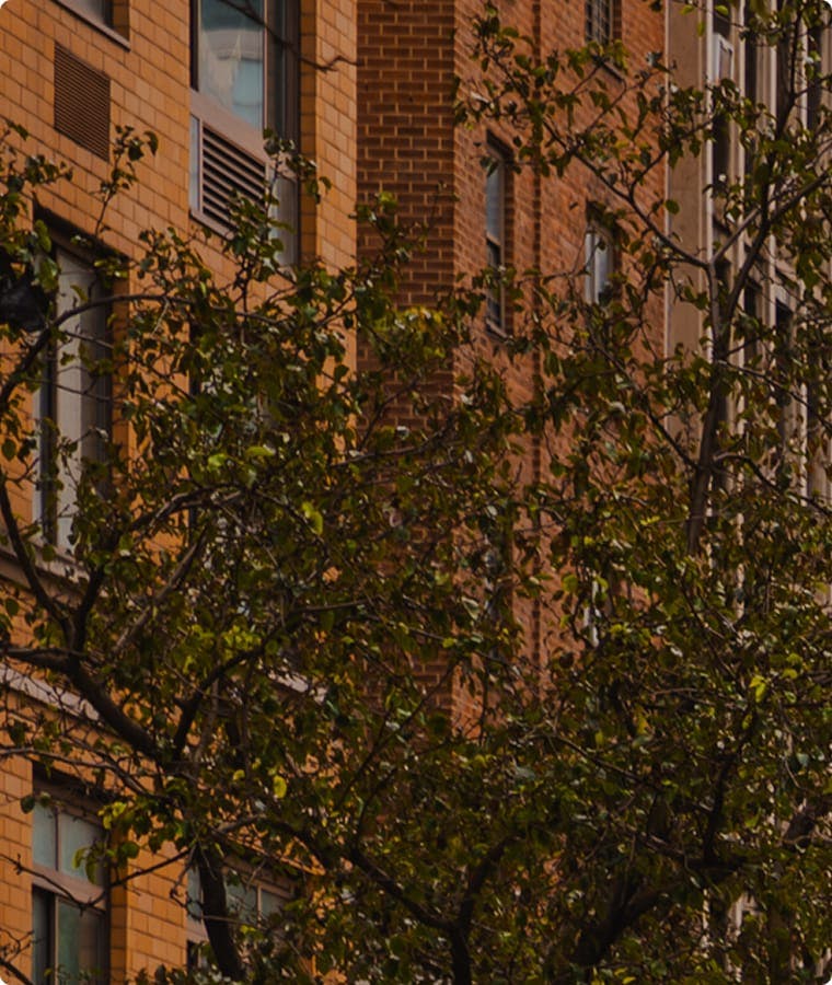 wall of brick building with tree infront