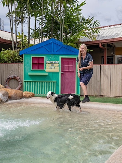 A dog plays in the splashpool while a pet nanny supervises