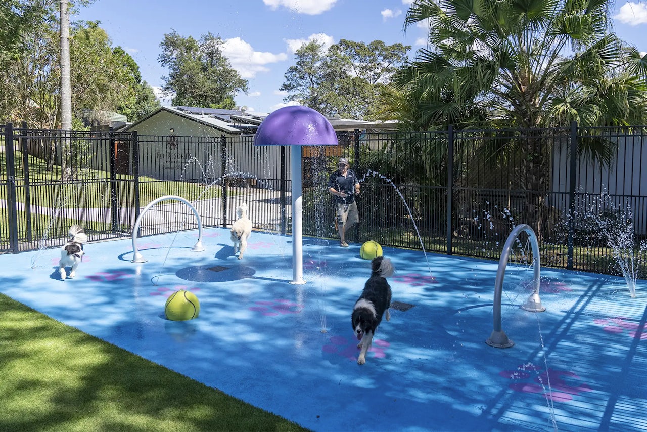 Pet Resorts Australia Eumundi-Noosa