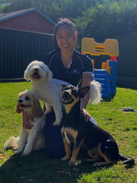 Three happy dogs play with their experienced pet carer at Pet Resorts Australia Dural on their day of Doggy Daycare