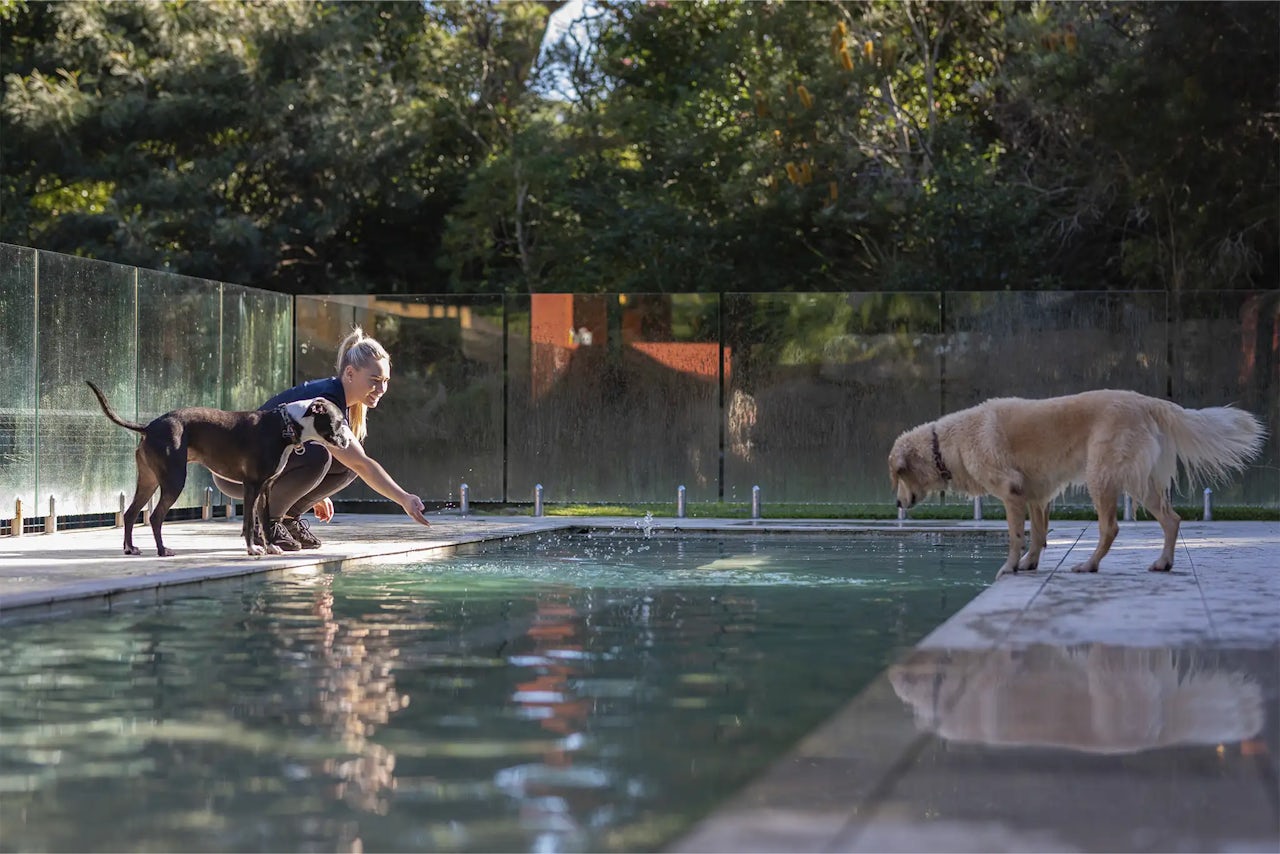 Pet Resorts Australia Terrigal
