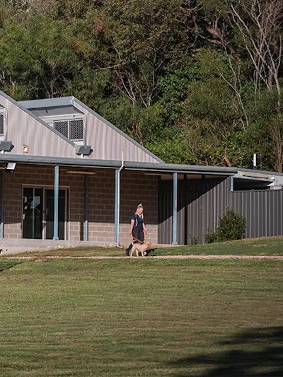 Team member walking with a happy dog at Pet Resorts Australia Ingleside, providing premium boarding in a peaceful bushland setting on Sydney’s Northern Beaches.