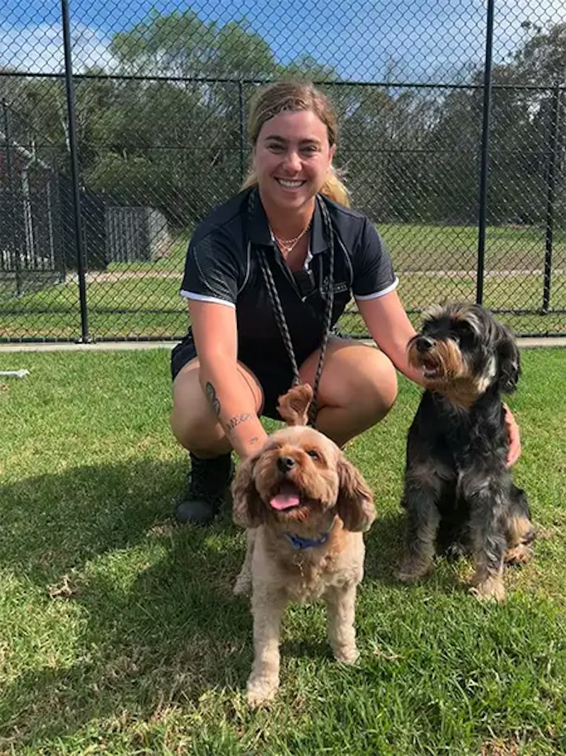 Preparing Your Dog for Doggy Daycare