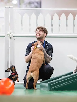 Pet Resorts Australia Samford - Doggy Day Care