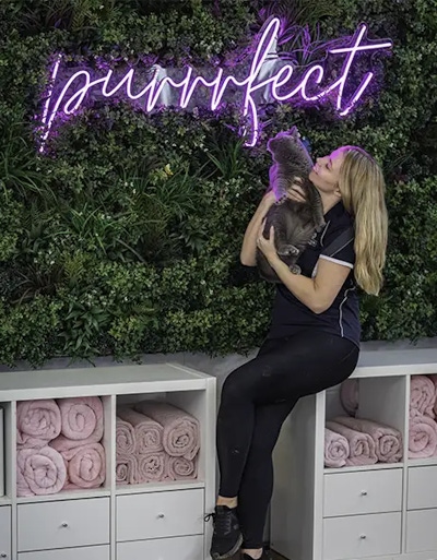 Content cat held by experienced Pet Resorts Australia staff member under purrrfect sign at boutique cat resort