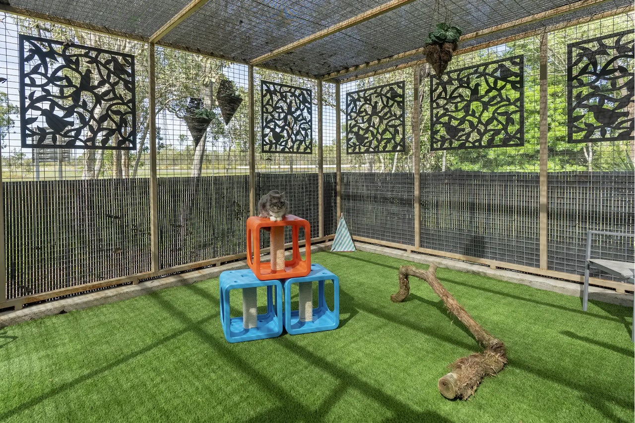 Cattery