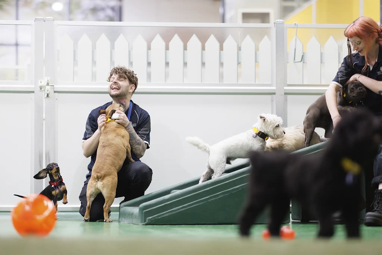 Doggy Daycare