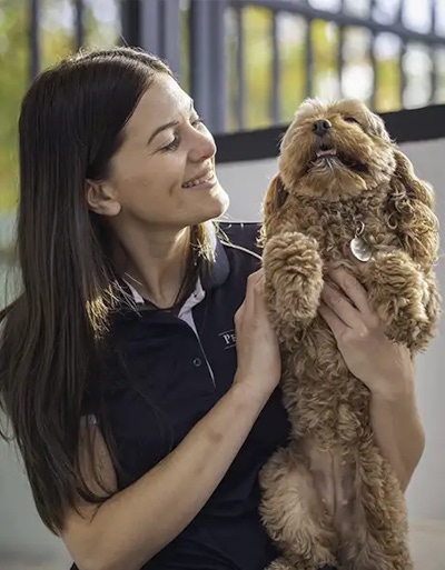 A Pet Resorts Australia staff member dotes on a dog boarding guest in their premium accommodation