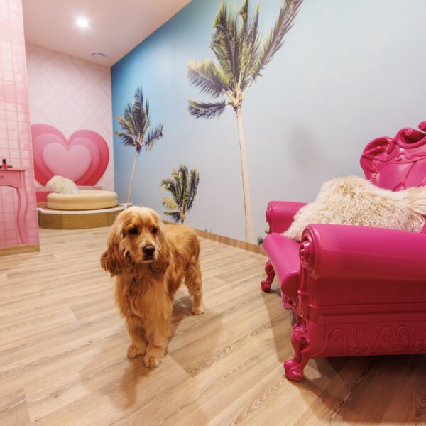 Why Pet Resorts Australia?