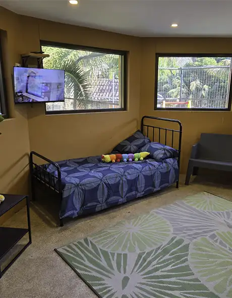 Spacious dog suite at Pet Resorts Australia Terrigal, featuring a cosy bed, large windows, a TV and homely furnishings, providing premium dog boarding and comfort at this top-rated dog resort in Terrigal.