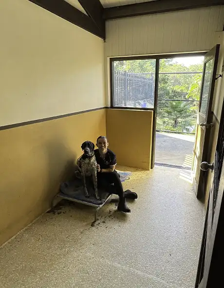 Staff member sitting with a dog in an Executive Room at Pet Resorts Australia Terrigal, a premium dog boarding space featuring elevated bedding, natural light and indoor-outdoor access at this leading dog resort in Terrigal.