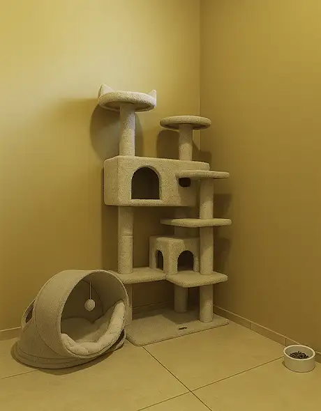 Interior of a Cat Indoor Room at Pet Resorts Australia Terrigal, featuring a multi-level cat tree, cosy hideaway bed and feeding area, providing a secure and comfortable space for quality cat boarding in Terrigal.