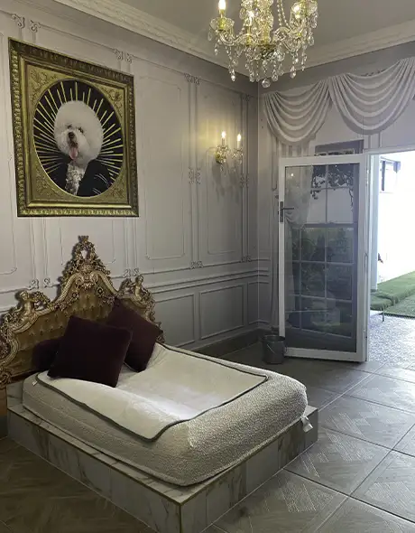 Elegant Royal Suite at Pet Resorts Australia Eumundi Noosa, featuring a luxurious bed, chandelier lighting, and direct outdoor access, designed for premium pet boarding with royal treatment.