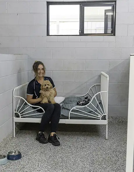 Pet Resorts Australia Eumundi team member sitting with a small dog in a modern, well-appointed suite, highlighting premium comfort and personalised care in the dog resort accommodation.