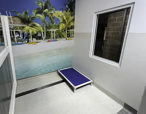 Pet Resorts Australia Ingleside Beach Club Suite
