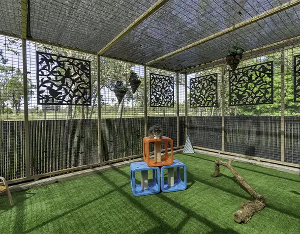 Outdoor Cat Play Room at Pet Resorts Australia Townsville