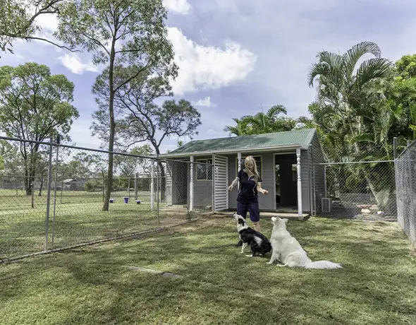 Outdoor Time from Hampton Suite at Pet Resorts Australia Townsville