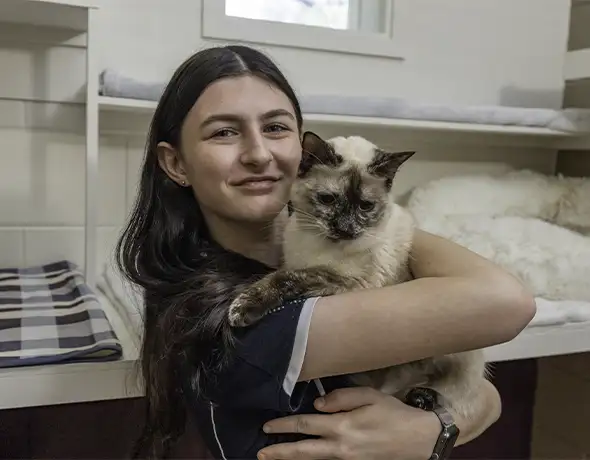 Cat Cuddles in Luxury Room at Pet Resorts Australia Townsville
