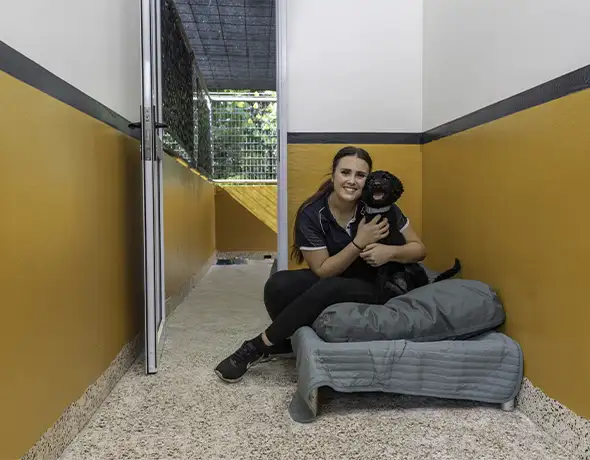 Team Member with Dog in Resort Room at Pet Resorts Australia Townsville