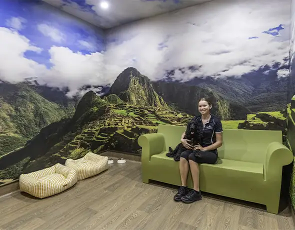 Macchu Picchu Destination Suite at Pet Resorts Australia Eumundi