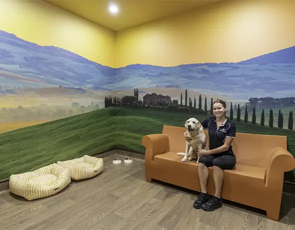 Tuscany Destination Suite Interior at Eumundi