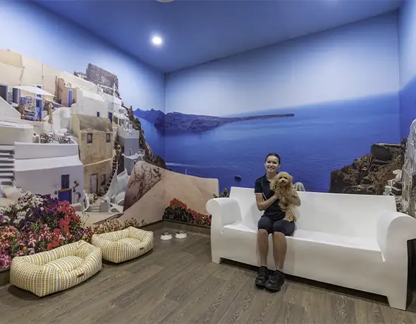 Greece Destination Suite at Pet Resorts Australia Eumundi